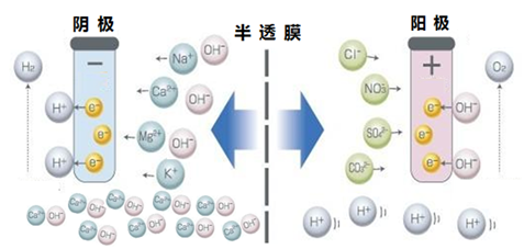 碳基脫硝